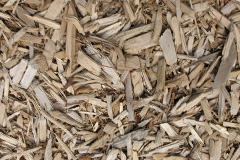 biomass boilers Feorlig