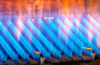 Feorlig gas fired boilers